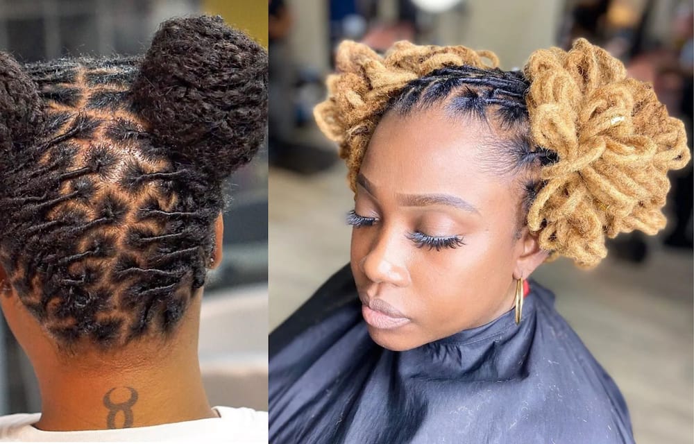 dreadlock hairstyle pictures