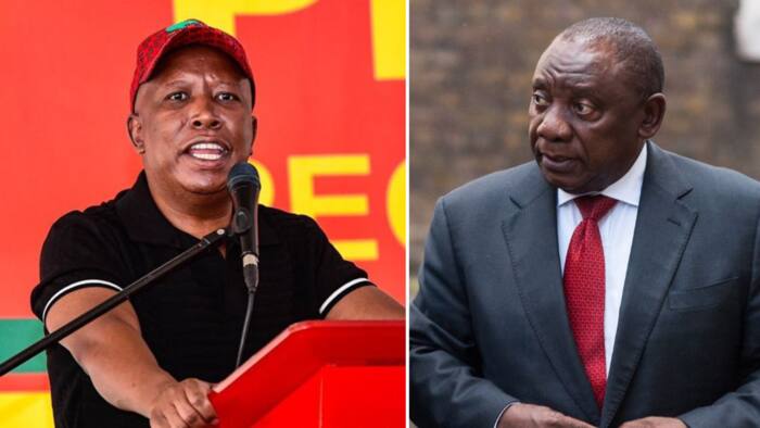 EFF's Julius Malema compares President Cyril Ramaphosa to a gangster, says "He is what we thought Zuma was"