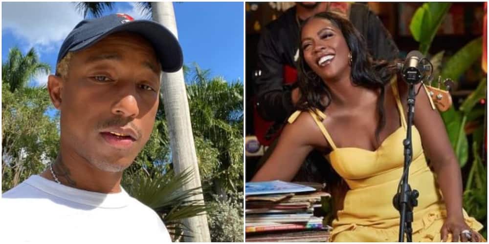 American Star Pharrell Gives Feedback After Listening to Tiwa Savage’s Song Sends Social Media Into Frenzy