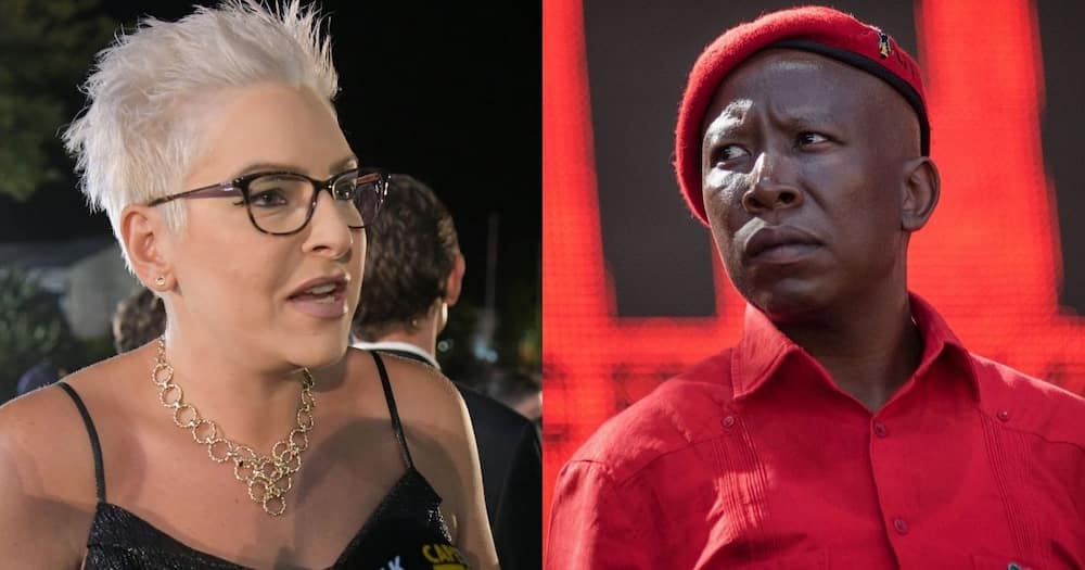 DA, Natasha Mazzone, EFF manifesto, declared illegal, Julius Malema