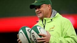 Deon Davids: who is the assistant coach of the Springboks?