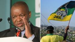 Phala Phala report vote: Mantashe warns ANC MP’s will be disciplined if they vote against Ramaphosa