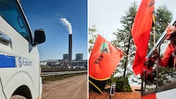 EFF applauds Eskom’s move to Department of Energy but warns decision won’t solve SA’s energy crisis