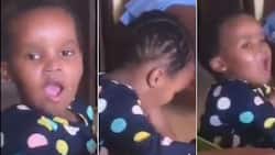 “Nailed it”: Cute kid singing Zakes Bantwini’s 'Osama' song is a hit in viral video clip