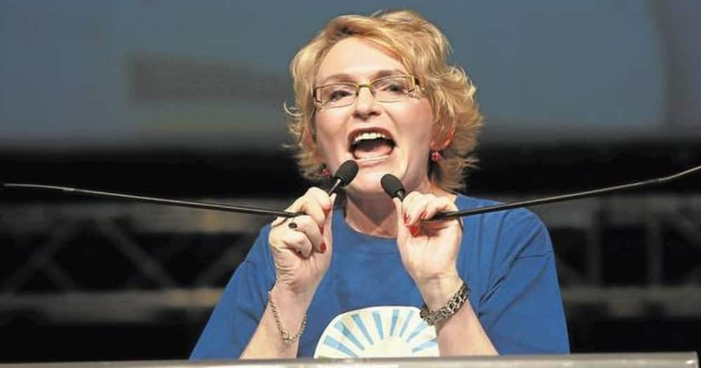 Helen Zille, IEC, attacks, harming Constitutional Court's integrity