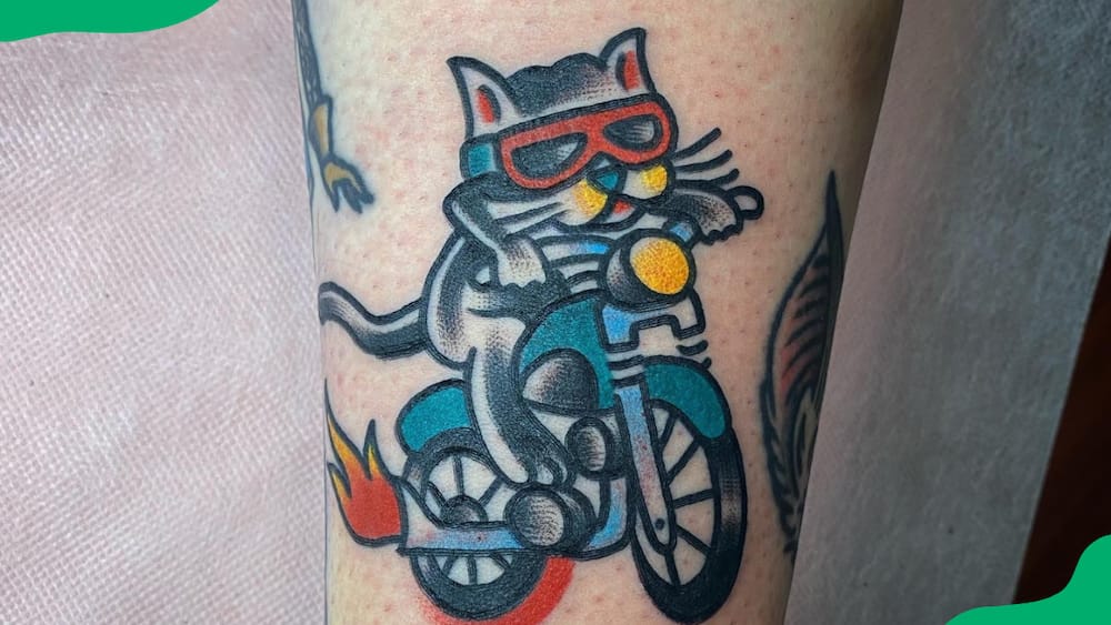 Motorcycle-riding cat