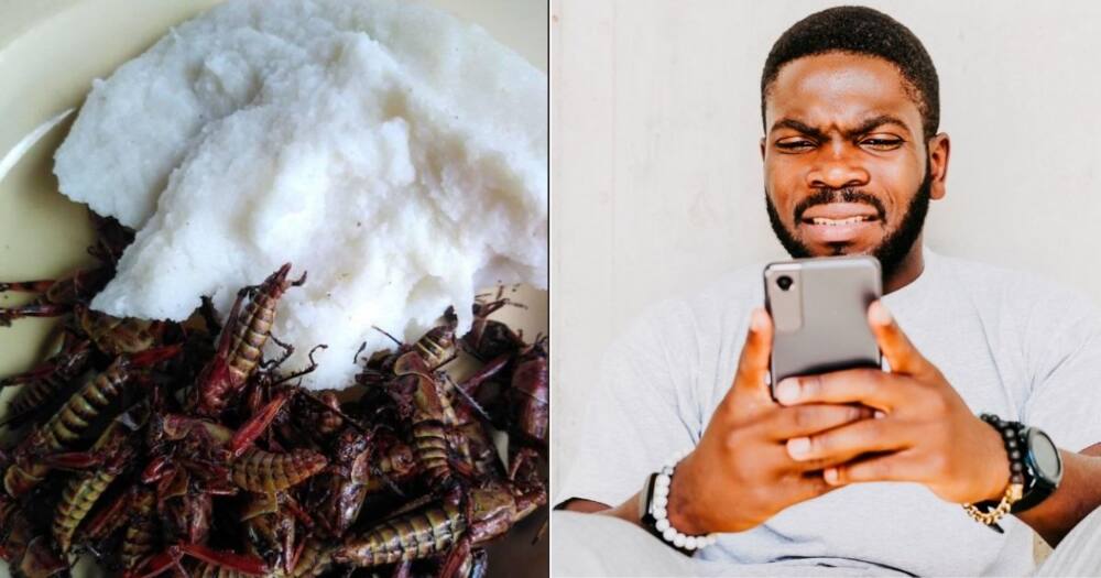 Pap and grasshoppers, delicacy, unusual meal, mzanzi react
