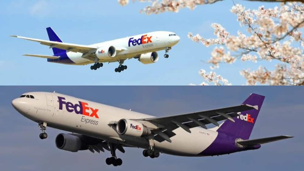 FedEx's contact number