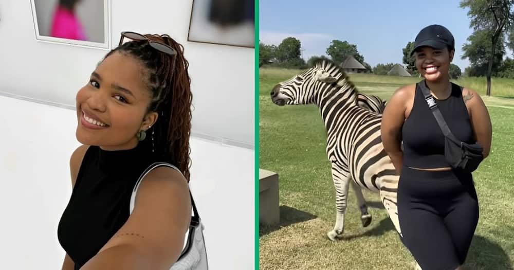 A TikTok video shows a woman being kicked by a zebra.