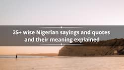 25+ wise Nigerian sayings and quotes and their meaning explained