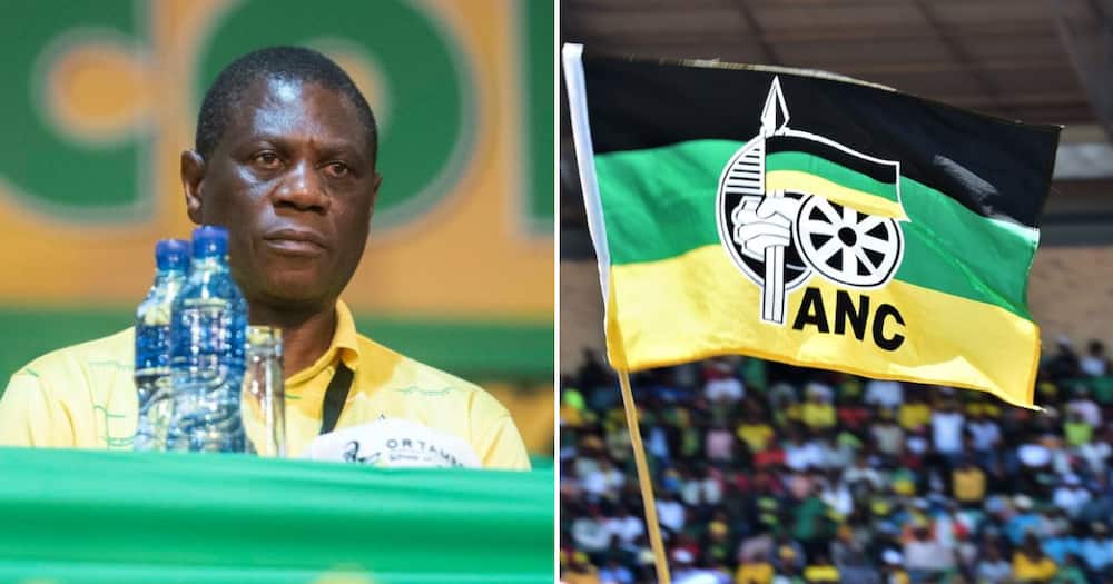 Paul Mashatile is being accused of intentionally misleading the North West High Court