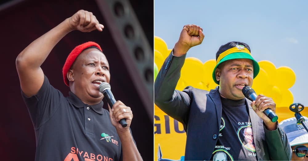 EFF's Julius Malema, Mzwandile Masina, Ekurhuleni, ANC, mayoral seats, DA