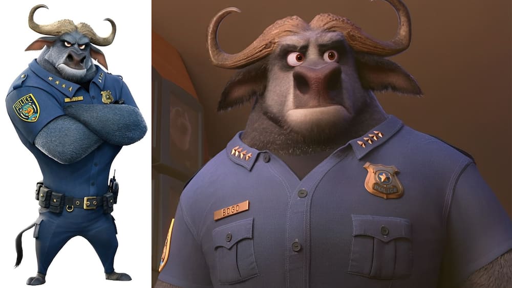 Chief Bogo from Disney's Zootopia
