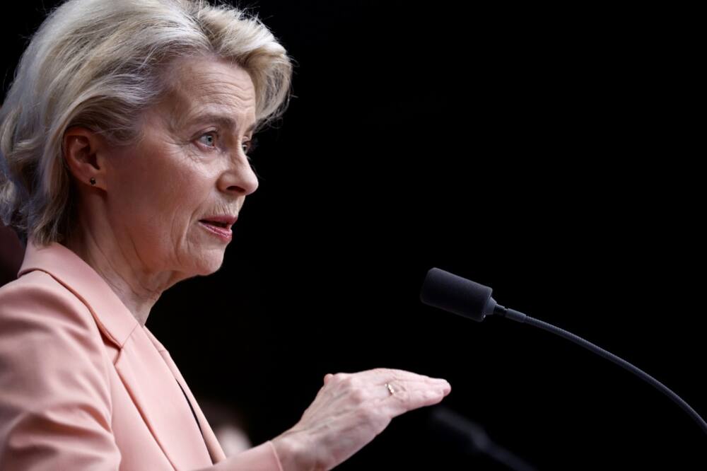 EU chief Ursula von der Leyen said the revenue from Russian assets would 'provide funding for military equipment to Ukraine'