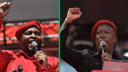 EEF faction pushing for Floyd Shivambu to take over from Julius Malema, SA divided: “It’s hard to believe”