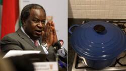 Tito Mboweni shares another epic cooking fail, SA in stitches as he blames politics for burnt chicken