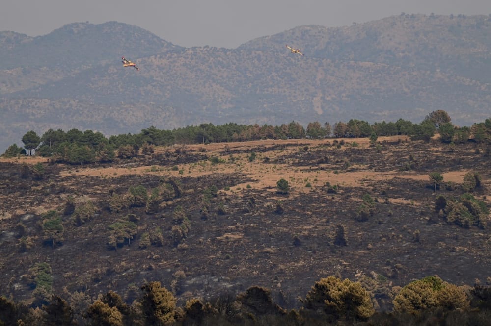 Close to 200,000 hectares (495,000 acres) of forest in Spain have been lost to fire so far this year, more than in any other European nation