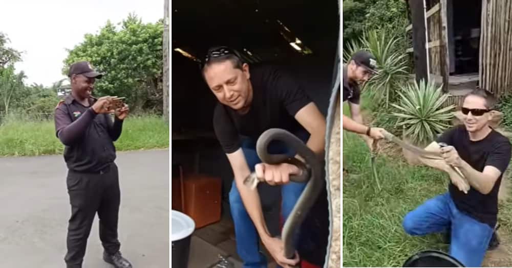 KZN snake rescuer Jason Arnold rescued a black mamba that had been making itself comfortable in a guard hut
