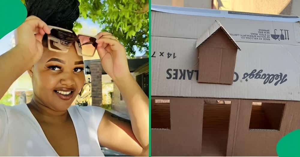 A TikTok video shows a woman unveiling her stunning cardboard dollhouses, which she created.