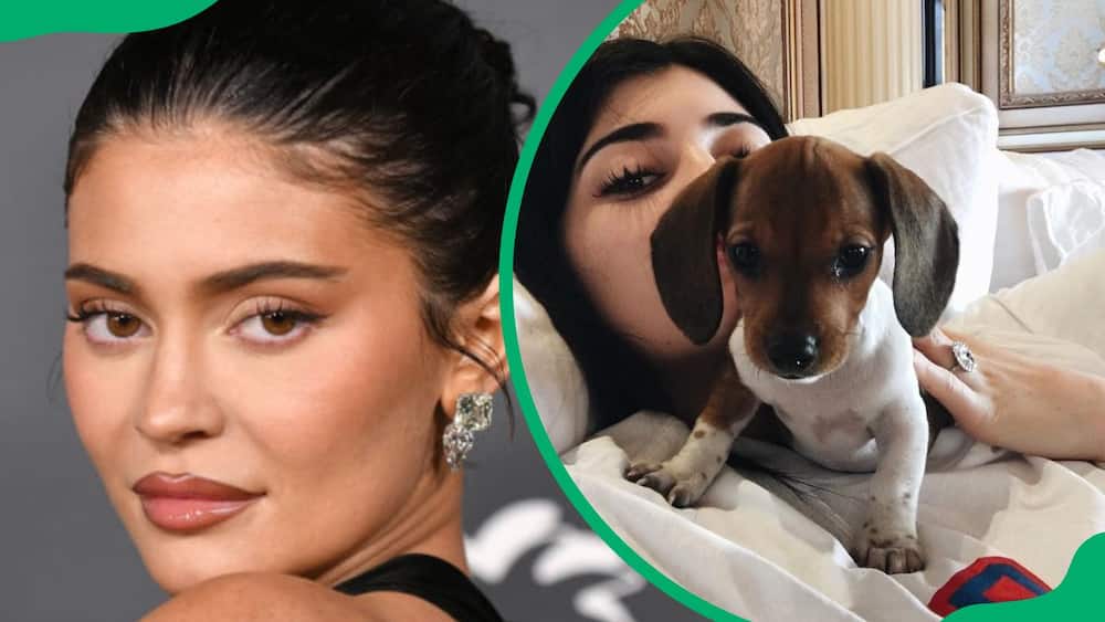 Kylie Jenner during the 2022 Baby2Baby Gala (L). The businesswoman with her dog, Penny (R)