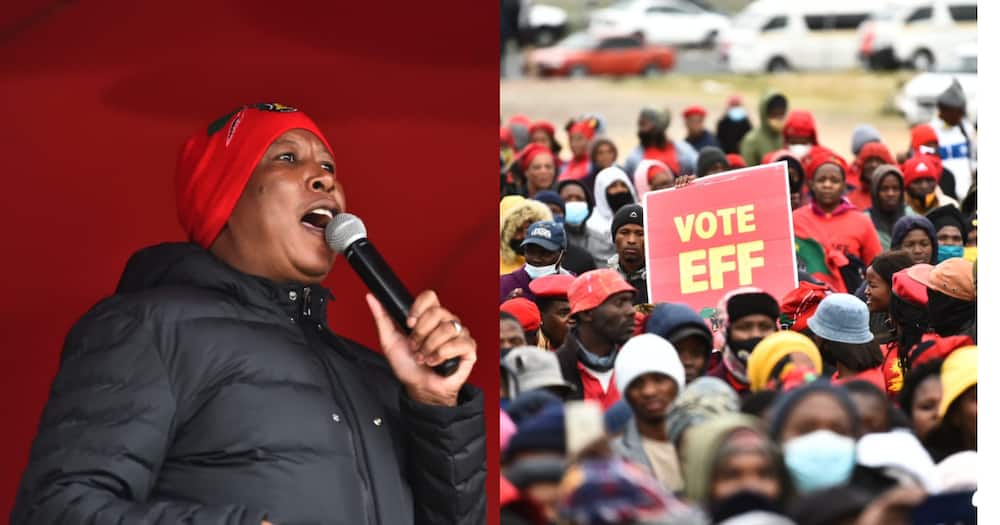 Julius Malema, EFF, Elections, Cape Town, Graduate allowance