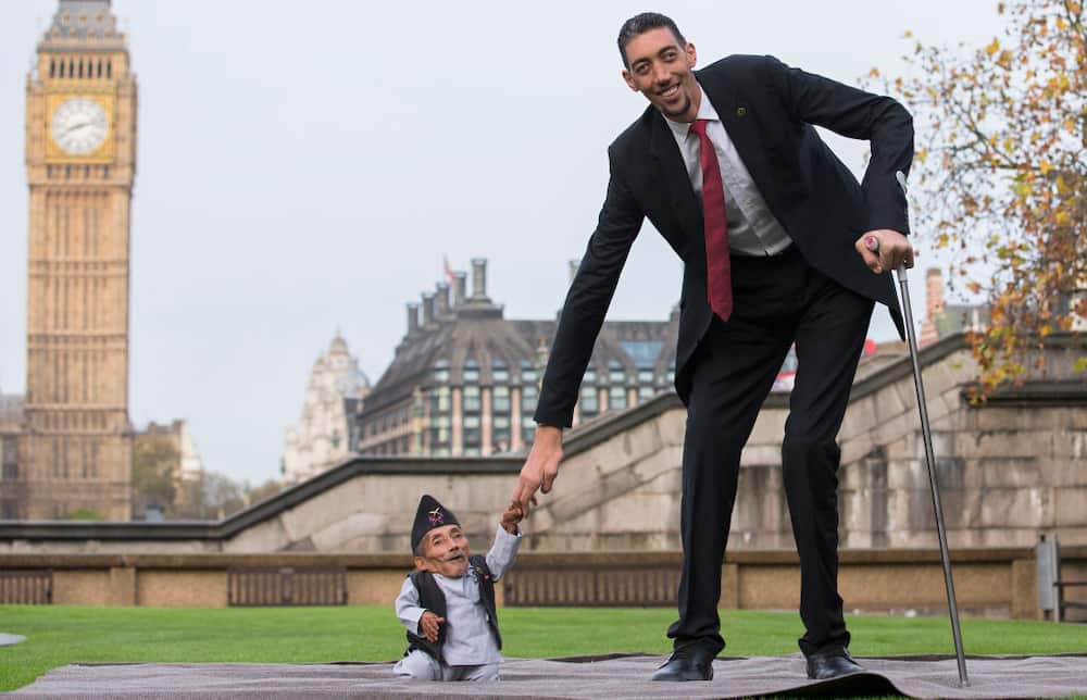 The shortest person in the world ever recorded