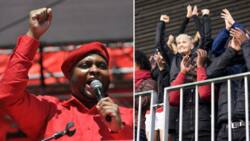 Floyd Shivambu slams Ramaphosa for taking South Africa backwards, impresses SA with Sona debate speech