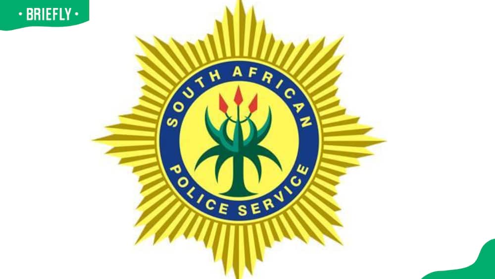 Metro Police application forms 2024 All you need to apply Briefly.co.za