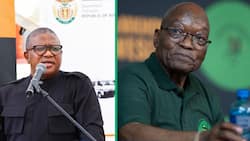 Fikile Mbalula revealed that the ANC defended Jacob Zuma’s Nkandla swimming pool lie