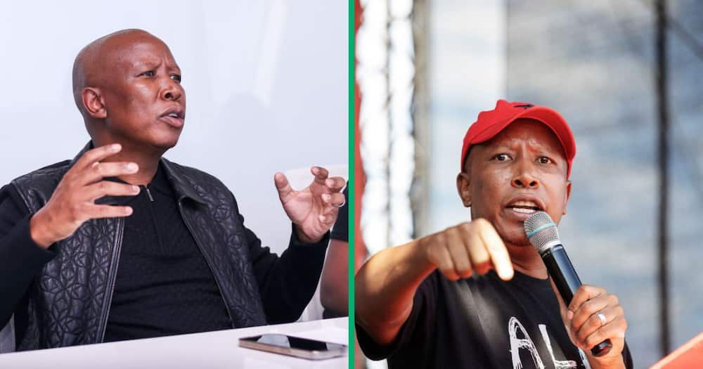 Julius Malema promised the coloured community equal opportunities