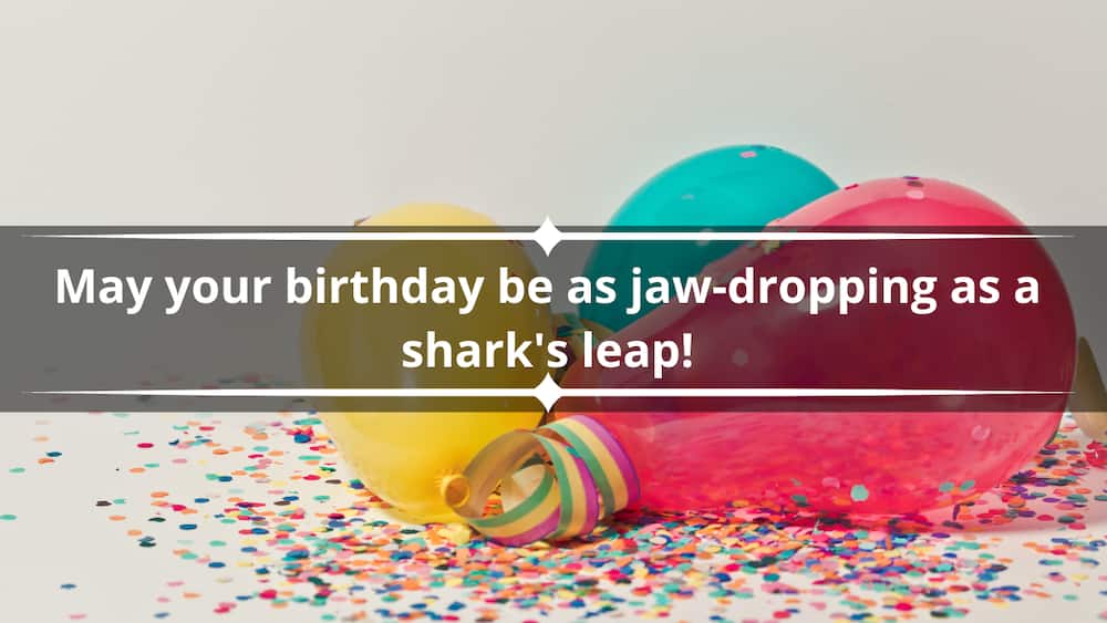 shark birthday puns