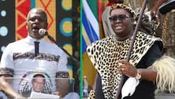 IFP's Velenkosini Hlabisa raises concerns over political intolerance in KZN following ANC mic incident