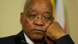 The timeline that led to Jacob Zuma's downfall