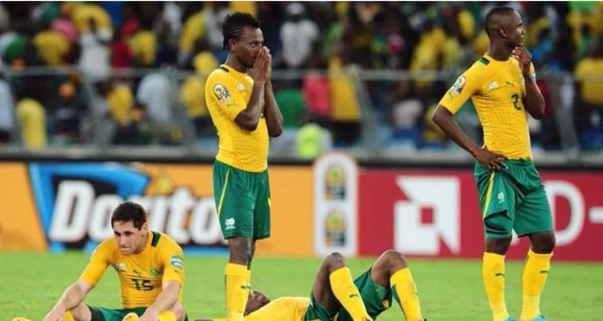 15 memes which perfectly sum up Bafana Bafana's loss to ...