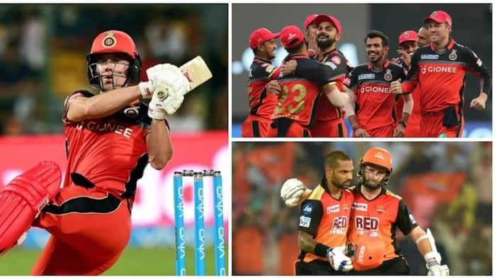 AB de Villiers shines as RCB keep IPL hopes alive with win over Hyderabad