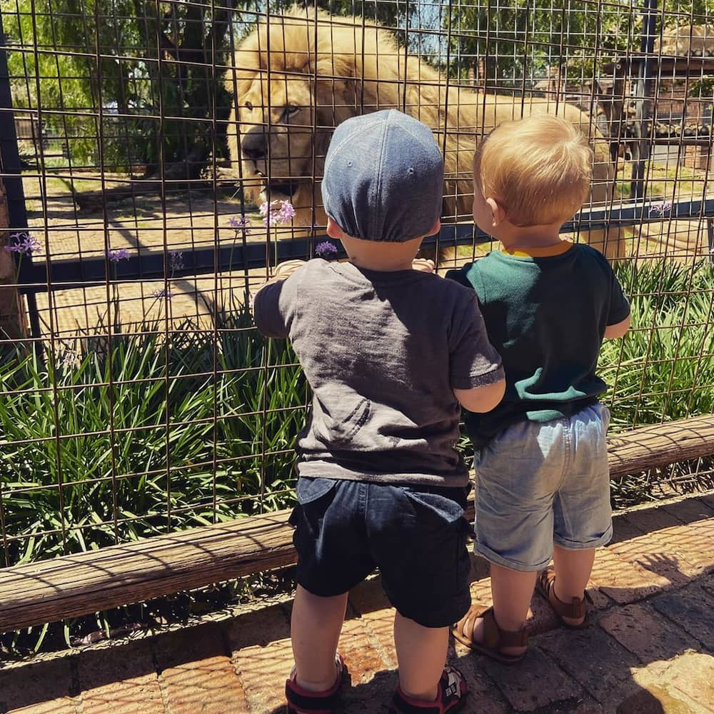 Lory Park Zoo entrance fee