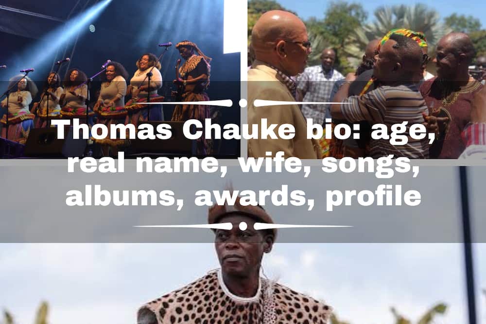 Thomas Chauke bio