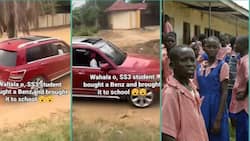 Student who bought expensive red Benz storms school with it in video, people react