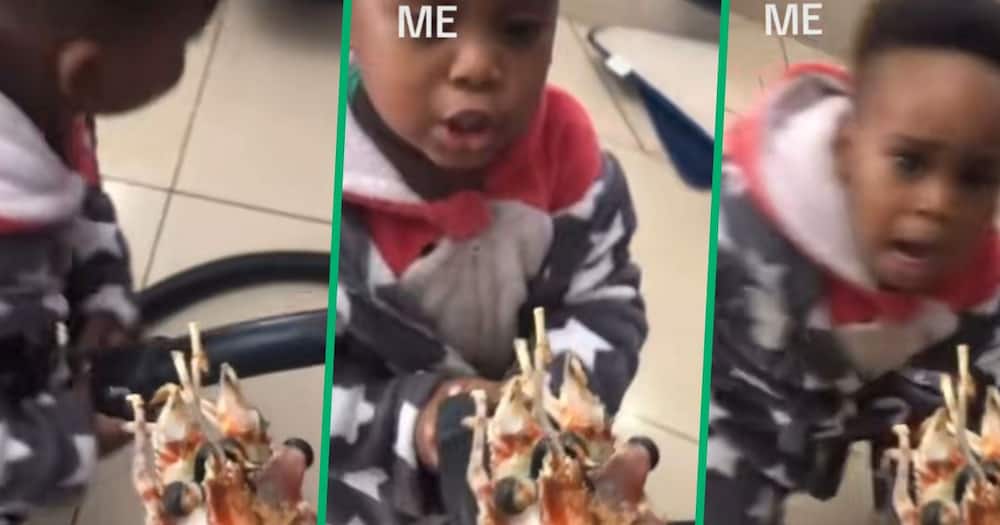 A lobster scared a child