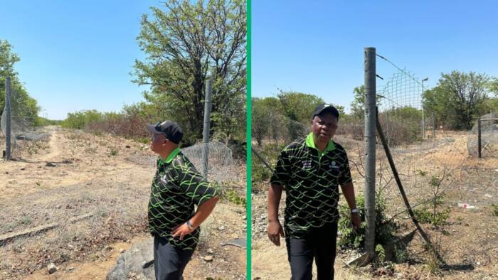 Foreign nationals cross Beitbridge border from Zimbabwe in front of ActionSA’s Herman Mashaba in viral videos