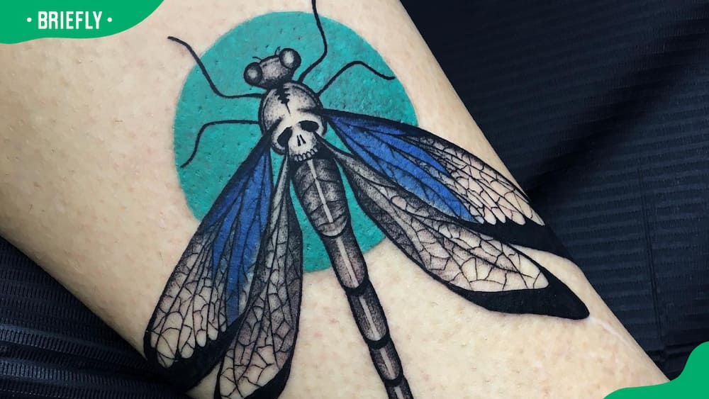 Blue and green dragonfly tattoo