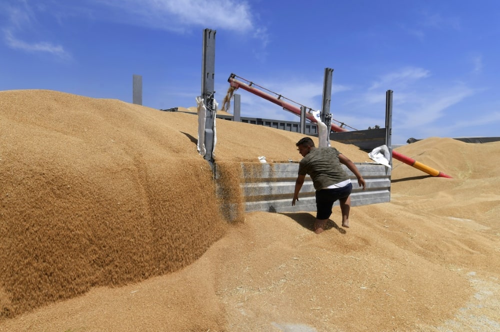 A 2014 World Bank report argued that Tunisia "does not have a strong comparative advantage in cereals" and should instead focus on "labour intensive" crops because of cheap labour