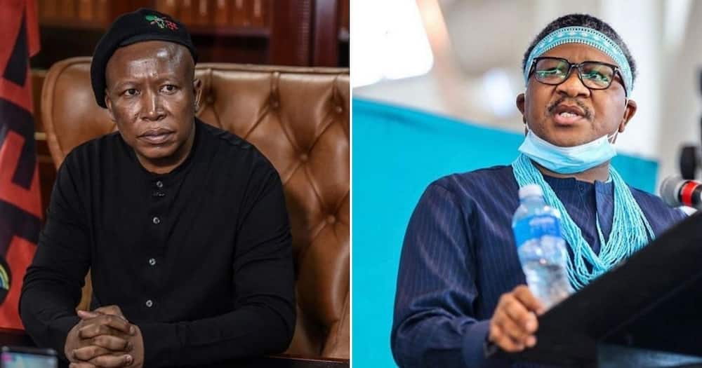 Malema has questions for Mbaks after online rant, SA in stitches