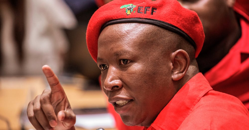 EFF, Julius Malema, unfazed by Operation Dudula critics, uniting Africa, decoloniasation