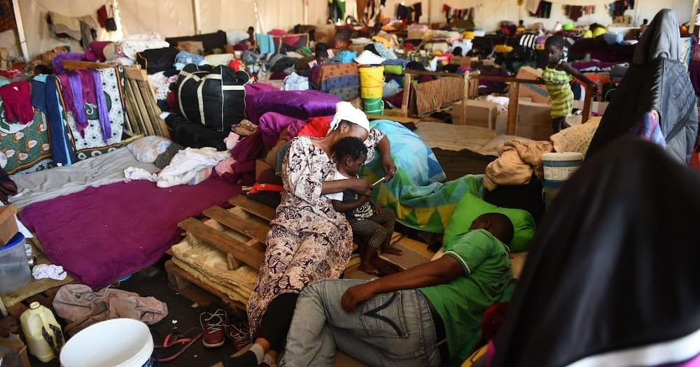 Cape town refugees, decide, three months or ticket home