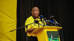 Ramaphosa urges ANC to explore permanent income grant for the unemployed, citizens prefer jobs