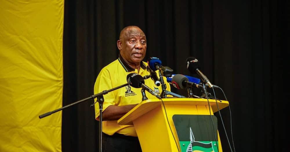 President Cyril Ramaphosa proposed an income grant to the ANC
