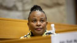 Suspended Public Protector Mkhwebane likened impeachment inquiry to abusive GBV relationship