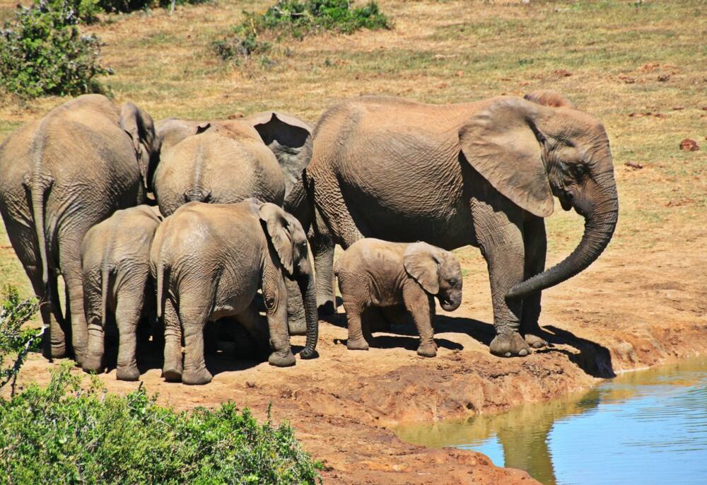 20 best places to visit in South Africa this December holiday 20 best places to visit in South Africa this December holiday