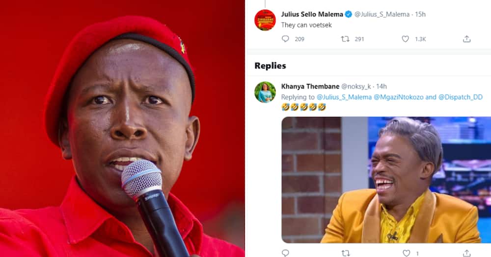Malema Tells KZN Judges to ‘Voetsek’, Mzansi Hilariously Responds